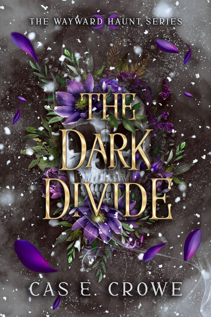 The Dark Divide Book